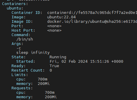 patch 전 describe 출력 — Limits/Requests의 cpu가 700m, memory 200Mi, State Running, Started Fri 02 Feb 2024 15:51:26, Restart Count 0
