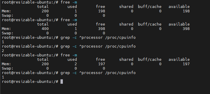 컨테이너 안에서 free -m과 grep -c ^processor /proc/cpuinfo를 반복 실행한 출력 — 메모리 총량이 200MB에서 400MB로 늘었다가 다시 200MB로, 프로세서 수가 1에서 2로 늘었다가 다시 1로 돌아온다