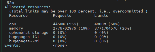 patch 전 describe node의 Allocated resources — cpu requests 4450m(55%), limits 4800m(60%), memory 2776702976(19%)