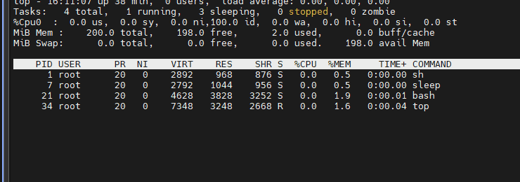 컨테이너 안에서 top을 띄워둔 채 resize가 일어나는 애니메이션 — %Cpu0 한 줄과 MiB Mem 200.0 total로 시작해 값이 갱신된다